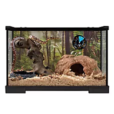 Thrive Temperate Snakes Essentials Kit - 10 Gallons - Temperate Reptile Terrarium Kit - 20x10x12