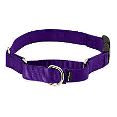 PetSafe? Martingale 3/8" Collar with Quick Snap Buckle