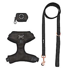 Sassy Woof Baby Got Black Dog Harness, Leash and Waste Bag Holder Bundle