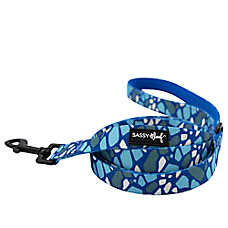 Sassy Woof Santorini Dog Leash: 5-ft long