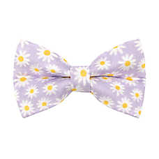 Made By Cleo? Daisies Purple Floral Cat Bow Tie