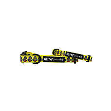 Sassy Woof Wonder Woman Dog Collar
