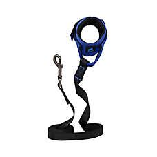 Gooby Easy Fit Wristband Dog Leash 6-Foot Long