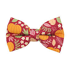 Made By Cleo? Pumpkin Patch Cranberry Cat Bow Tie
