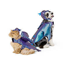 Thrills & Chills? Dragon Dog & Cat Costume
