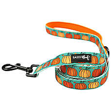 Sassy Woof Pie There! Fall Dog Leash, 5 FT