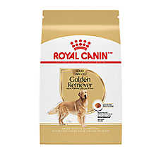 Royal Canin Breed Health Nutrition Golden Retriever Adult Dry Dog Food