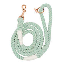 Sassy Woof Mint to Be Dog Rope Leash: 5-ft long