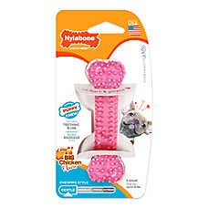 Nylabone Puppy Chew Dental Dog Bone Toy