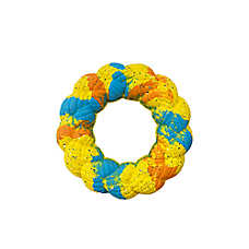 ARLEE Max Fusion with Nike Grind, Roped Up Ring Dog Toy